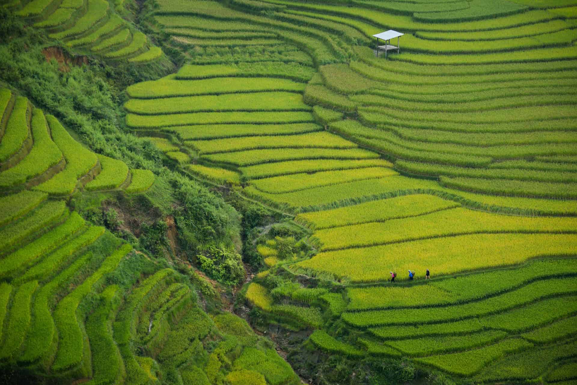 Khau Pha Pass in Vietnam (photo: Doan Tuan)