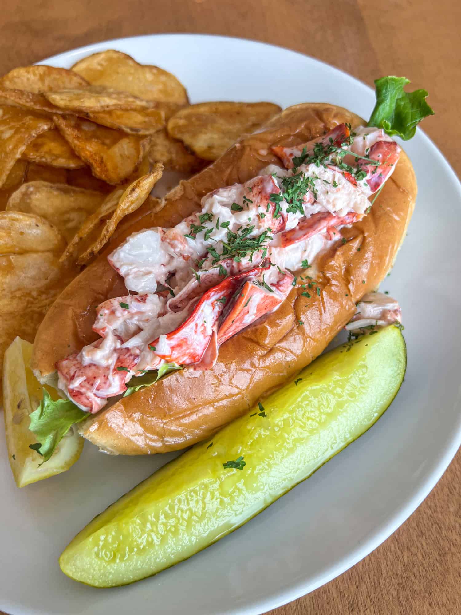 Lobster roll at West Street Cafe in Bar Harbor