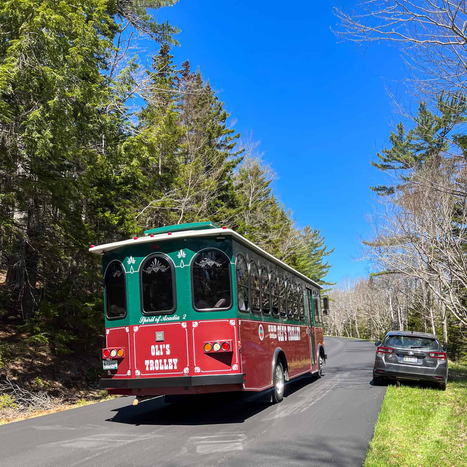 Oli's Trolley in Acadia National Park