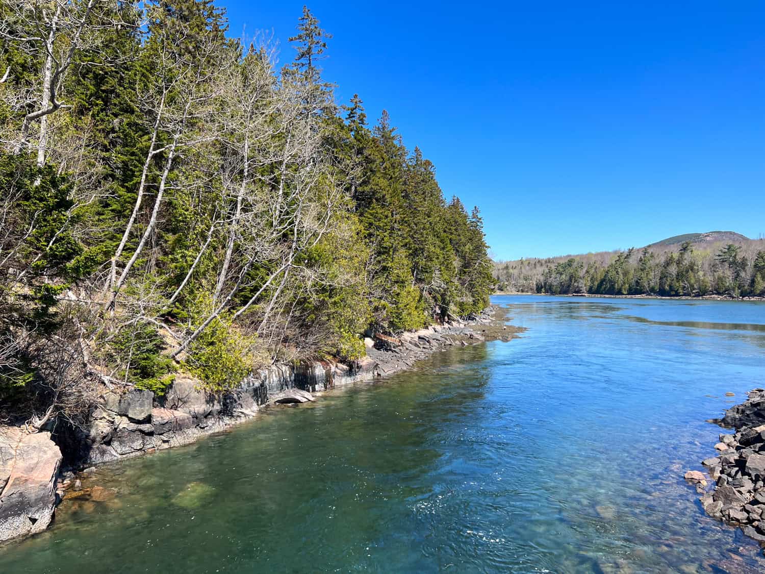 View from Otter Cove Bridge