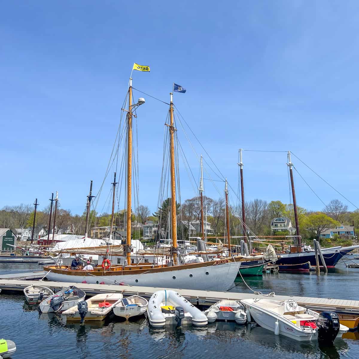 Schooner Olad in Camden Harbor