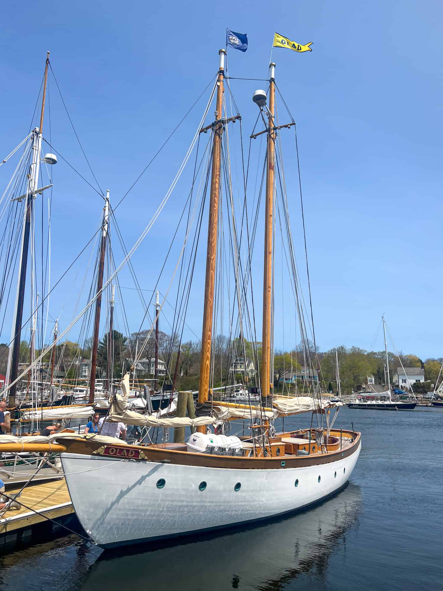 Schooner Olad in Camden Harbor, Maine