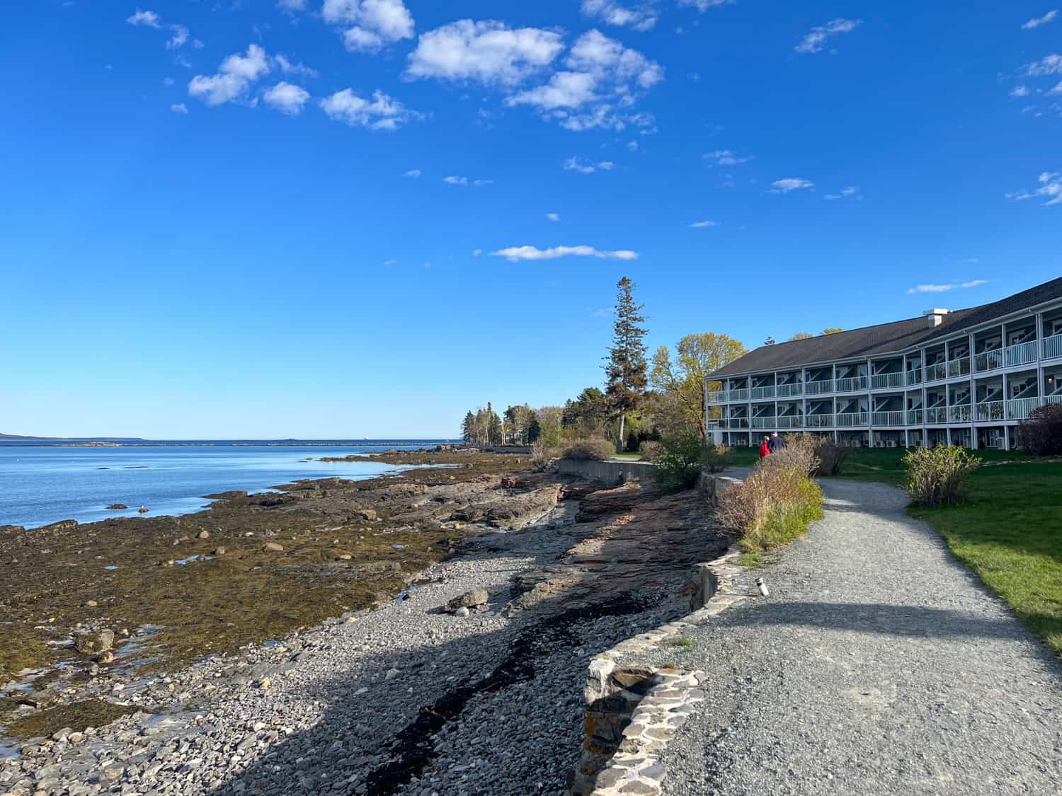 Shore Path in Bar Harbor