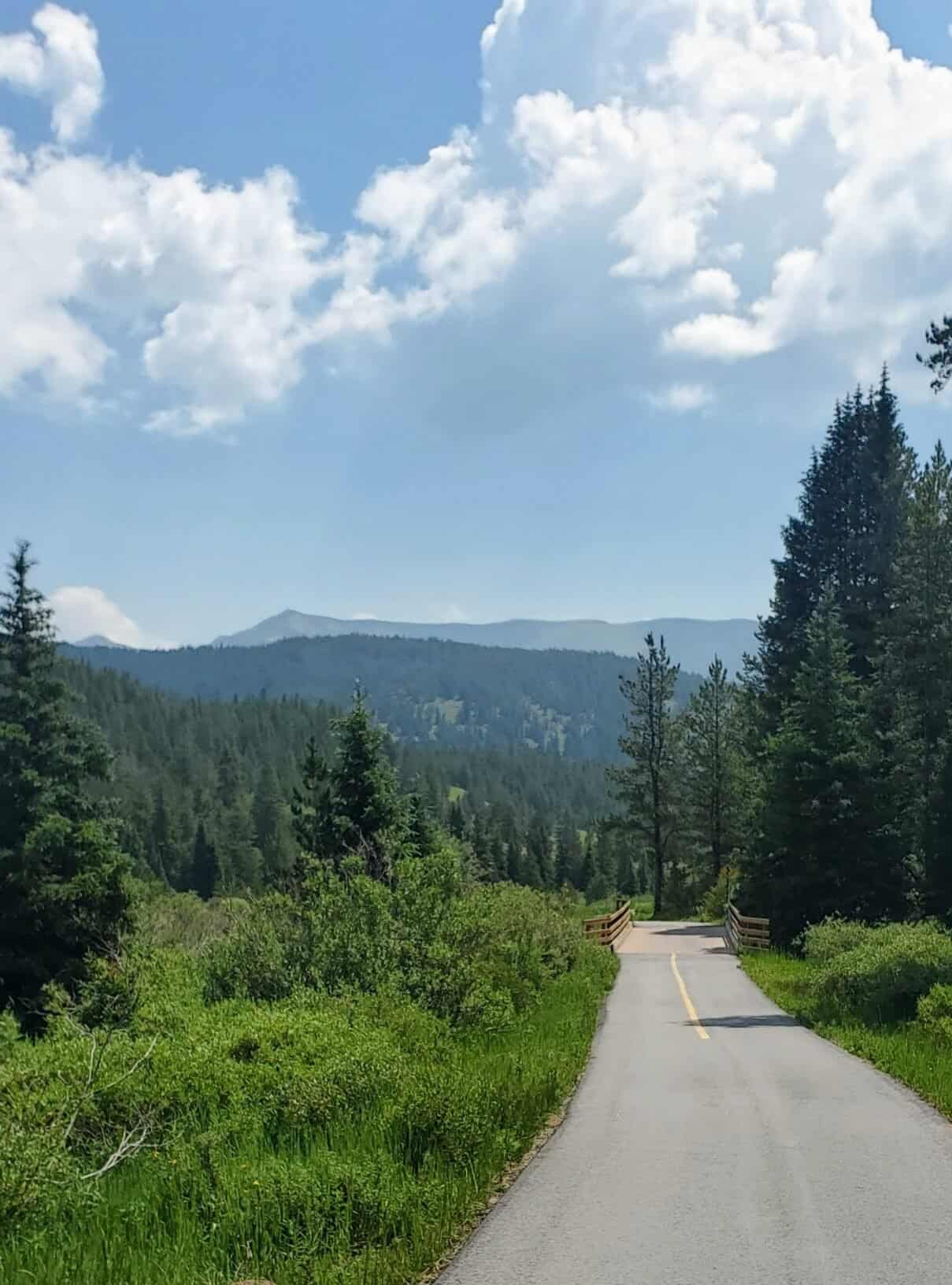 Vail Pass bike ride path on a sunny summer day.