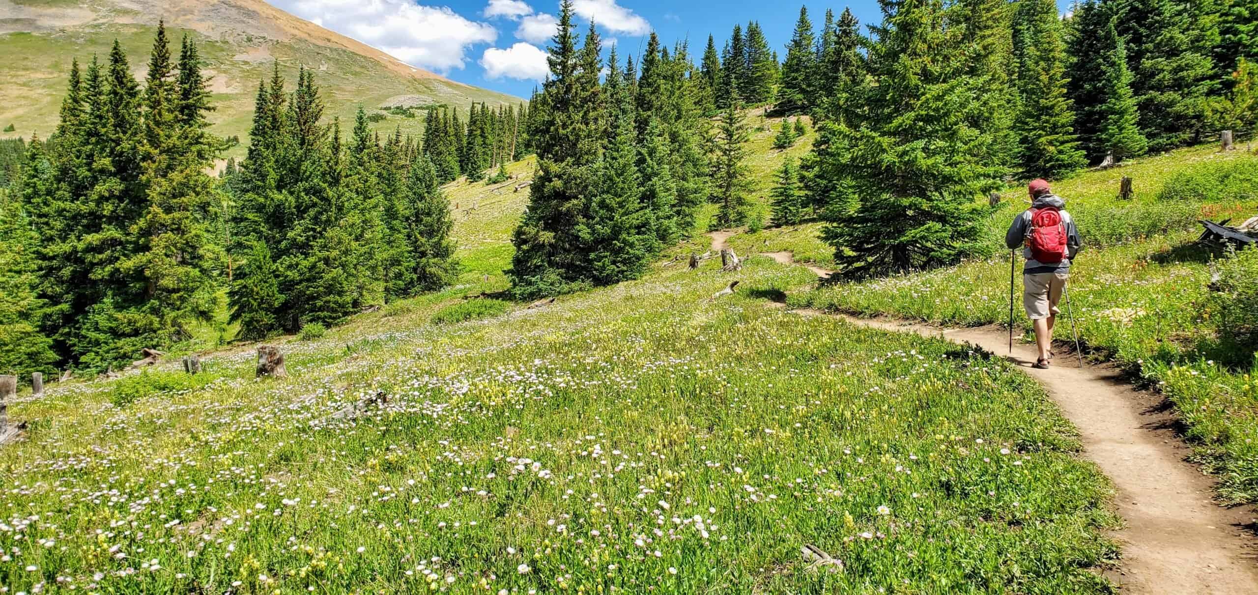 Hiking Black Powder Pass (the trailhead is atop Boreas Pass Road), a top summer activity in Breckenridge