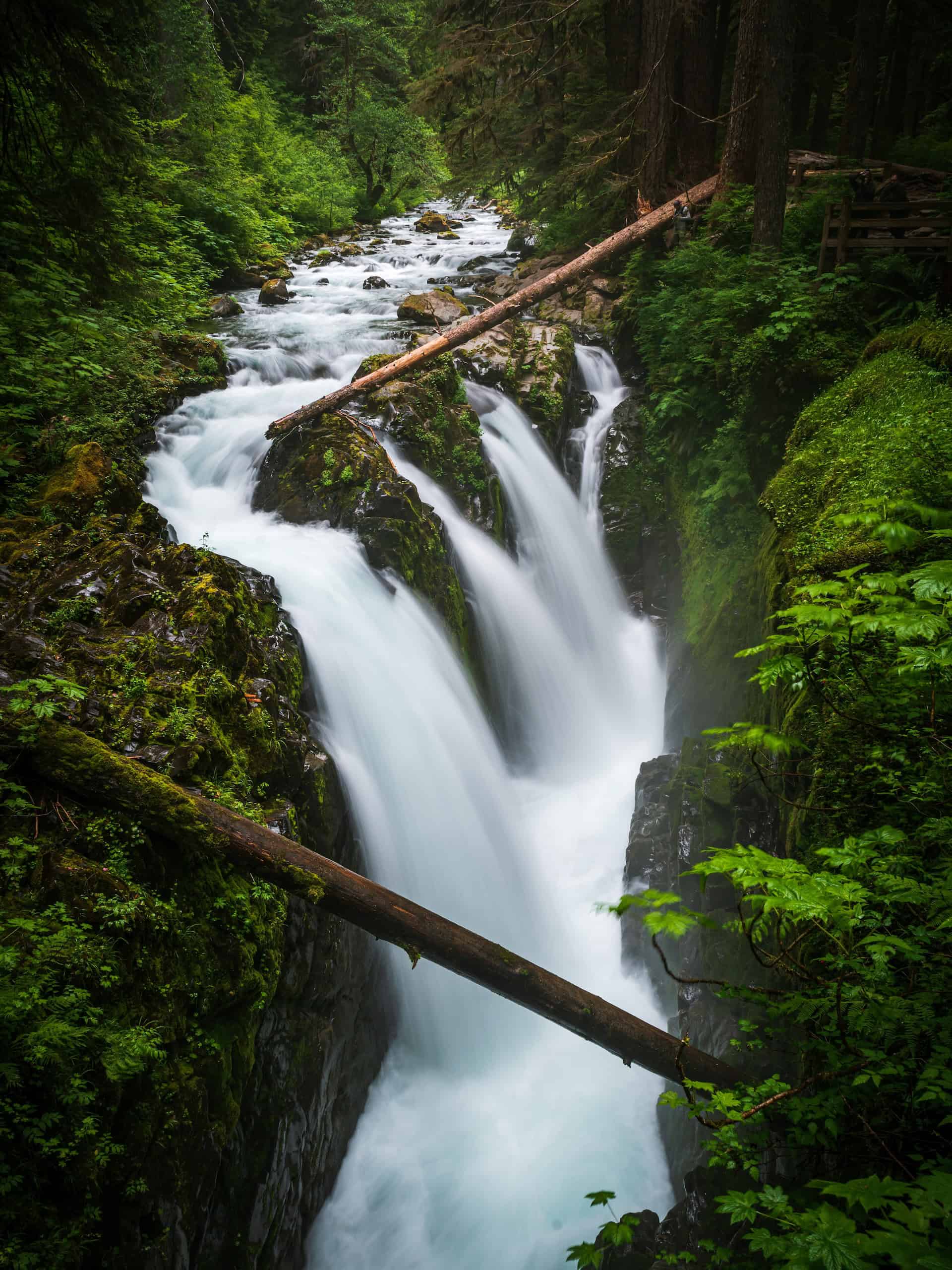 Sol Duc Falls (photo: Shakti Rajpurohit)