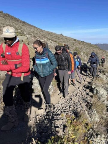 A guide leads hikers on Kilimanjaro.