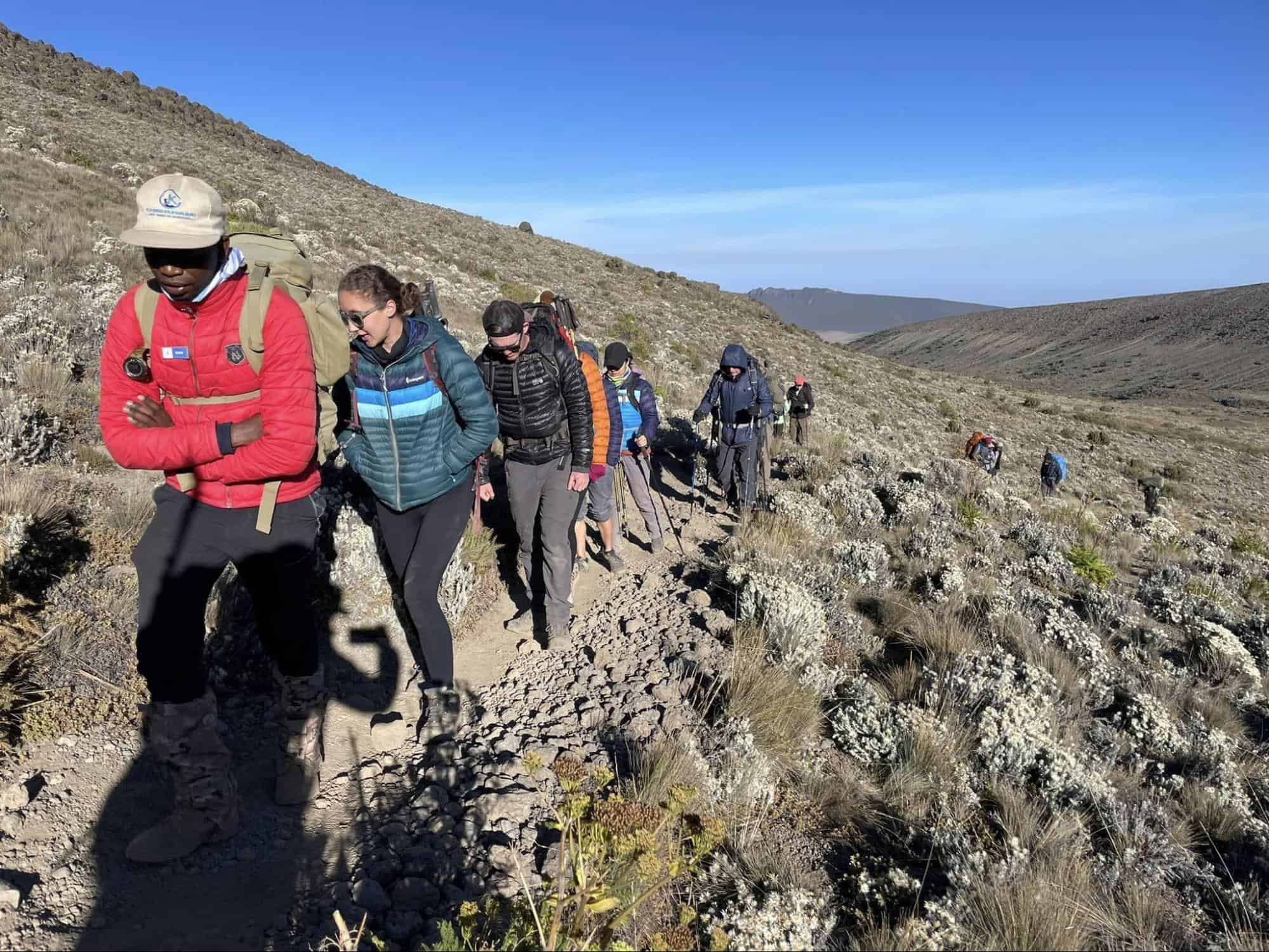 Yes, beginners can climb Kilimanjaro. Here, a local guide, leads some up Africa's tallest peak.