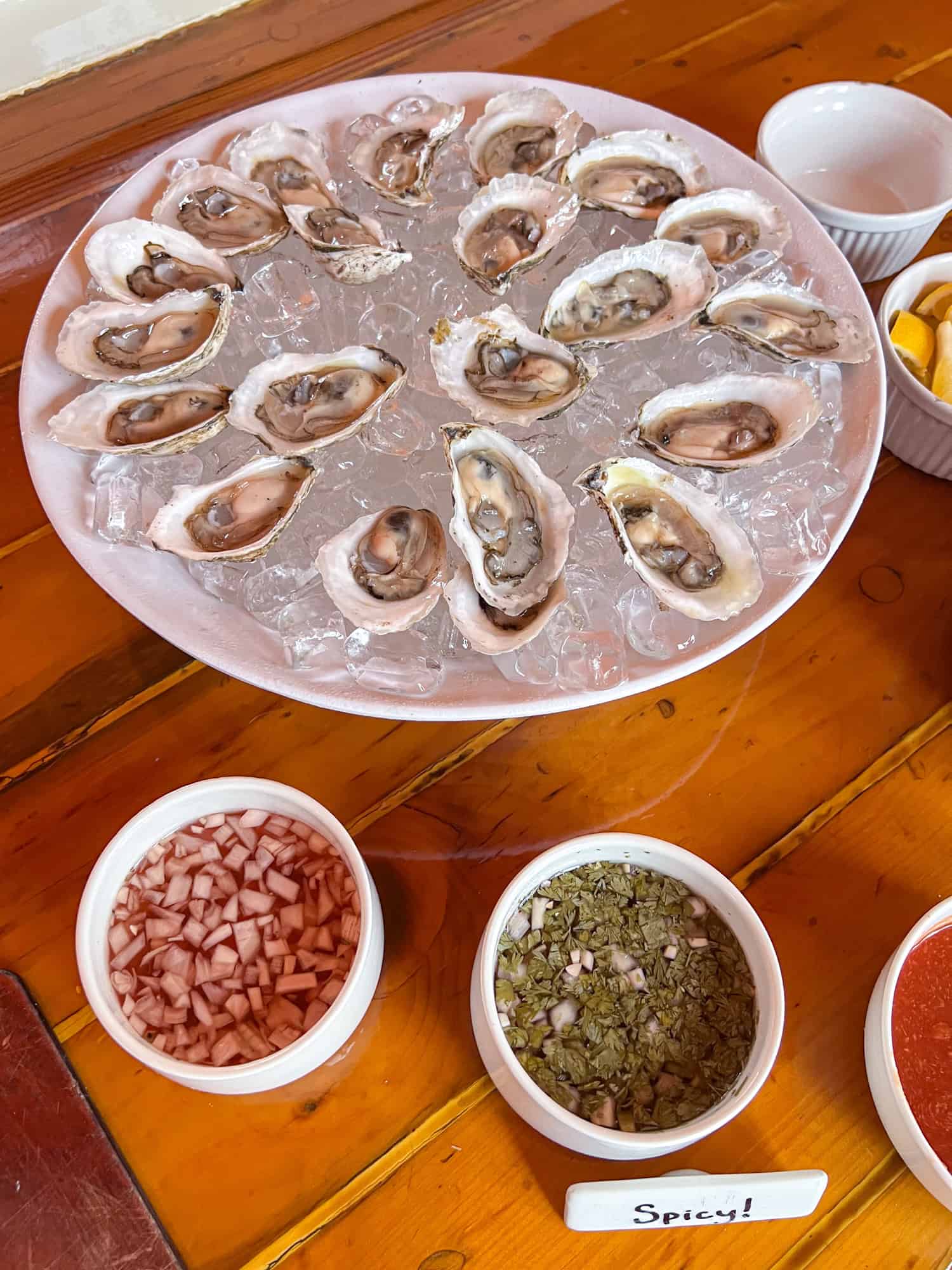 Iced oysters with assorted toppings kicks off dinner on our Maine windjammer cruise