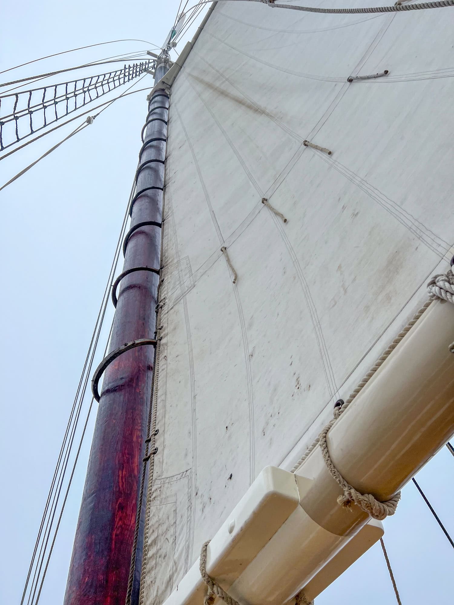 J & E Riggin's mainsail