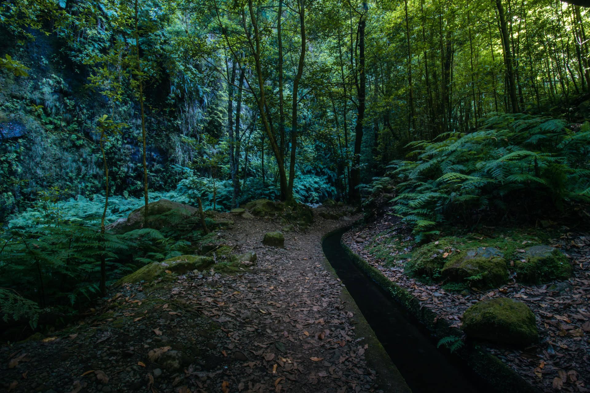 Levada / irrigation canal on the island of Madeira in Portugal(photo: Reinaldo Photography)