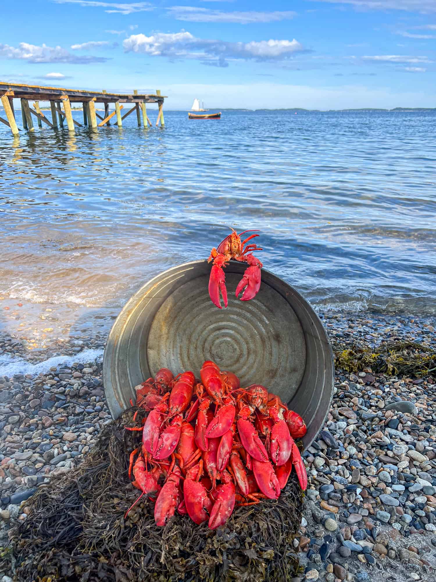 Maine lobster bake at Waterman's Beach during a windjammer cruise in Maine