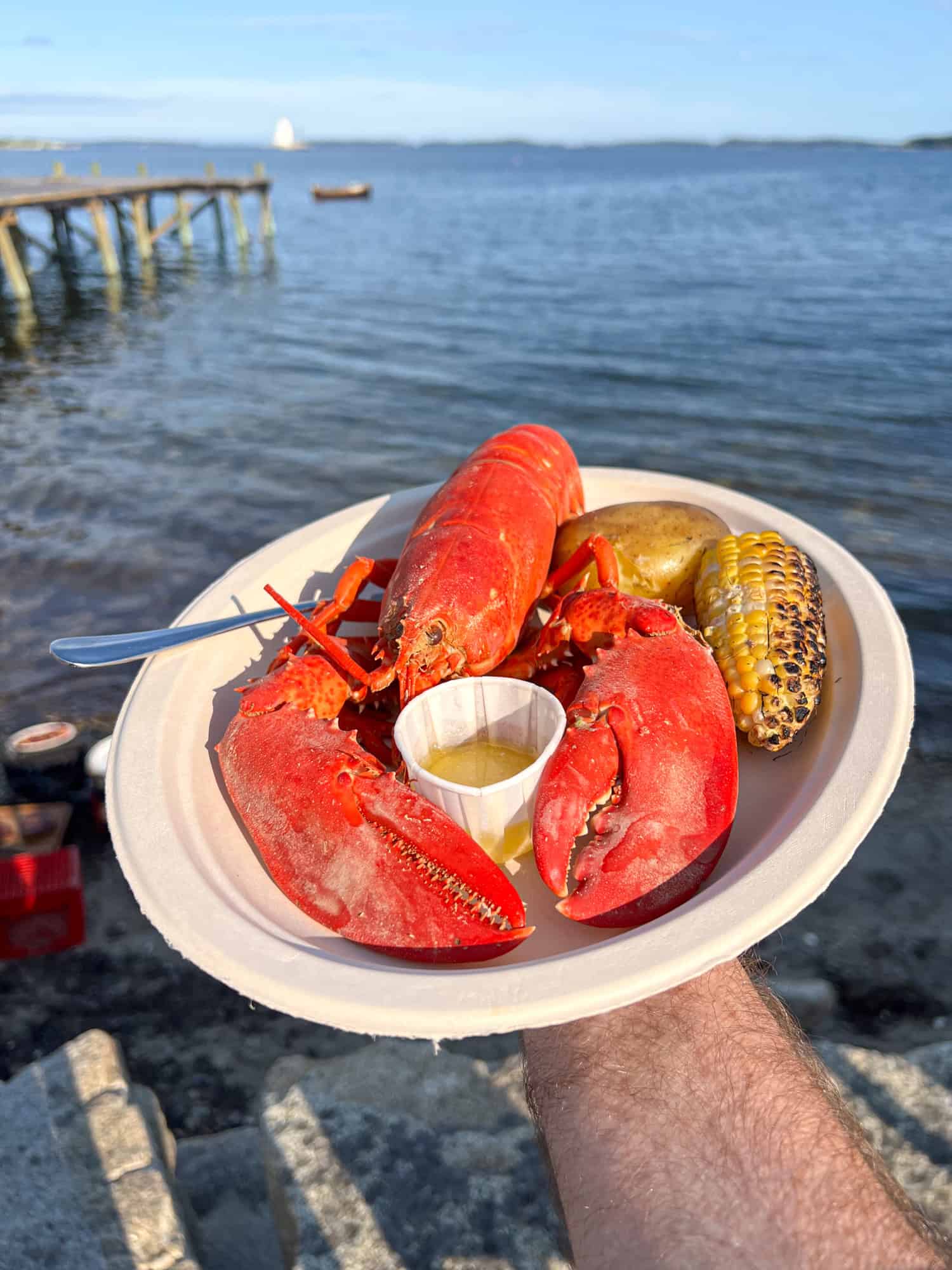 Maine lobster dinner with potatoes and corn on the cob