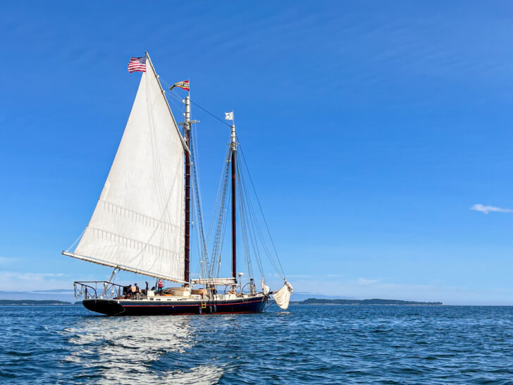 The Schooner J & E Riggin offers windjammer cruises in Maine