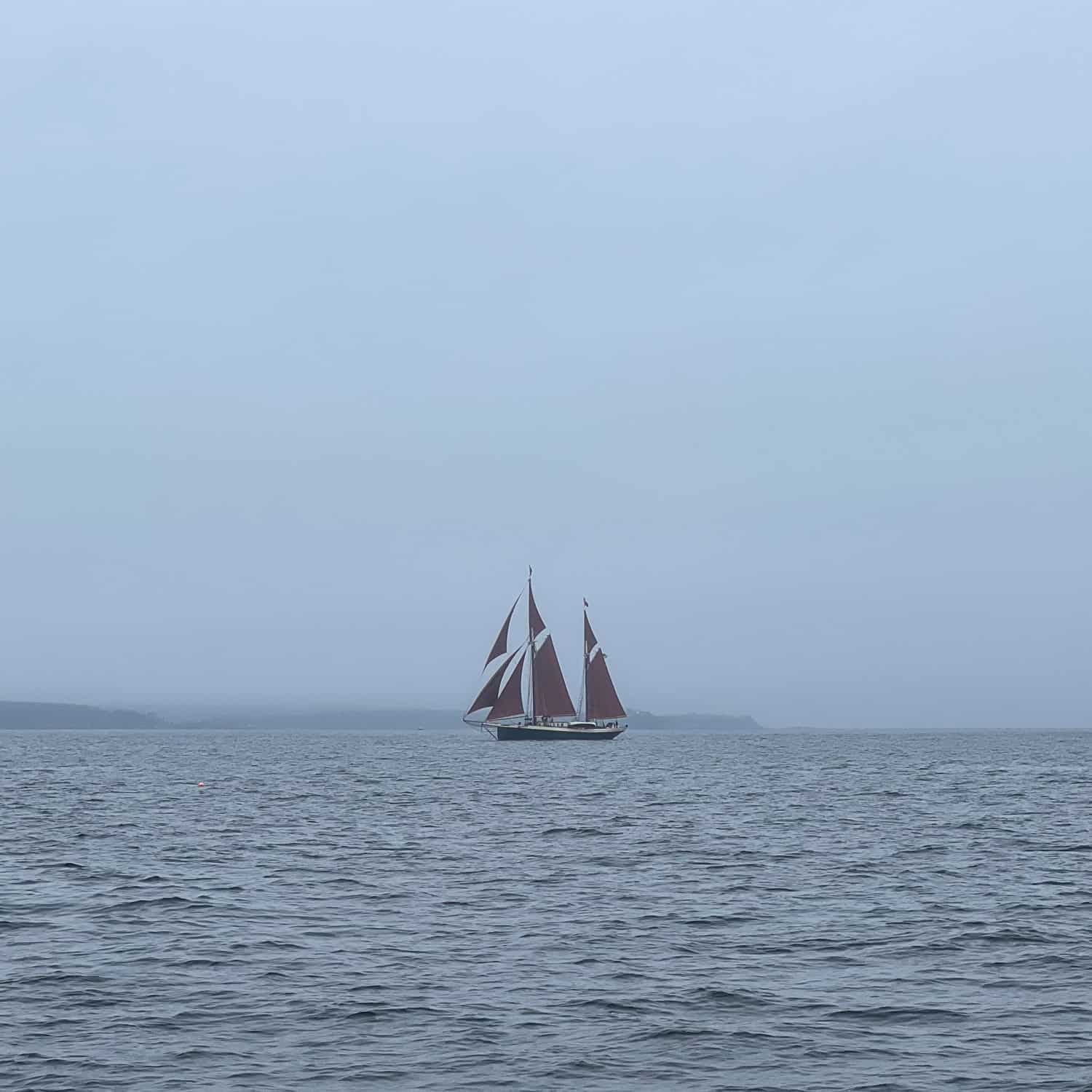 The Windjammer Angelique is distinguished by its red sails.