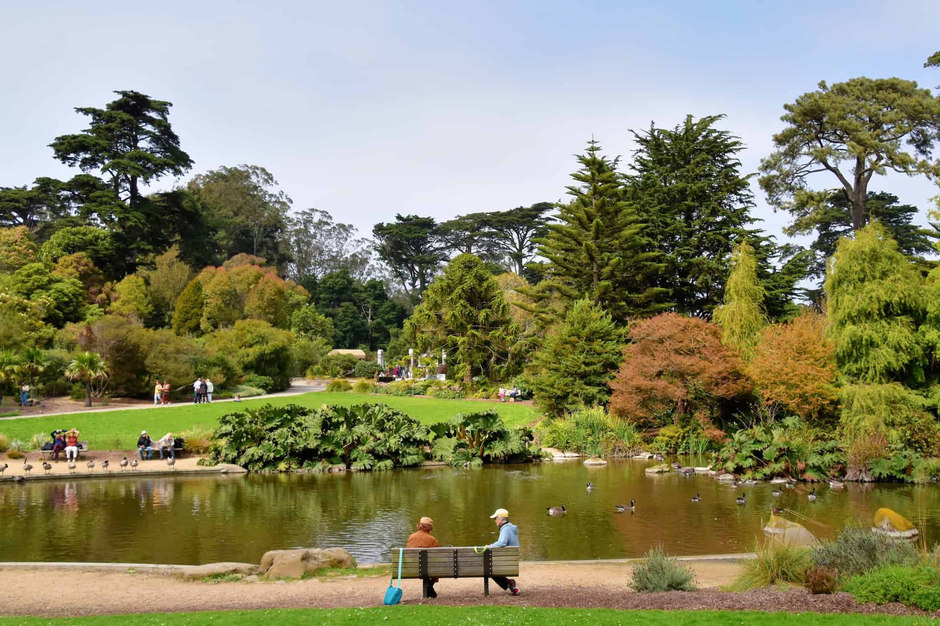 Golden Gate Park (photo: Jeffrey Eisen)