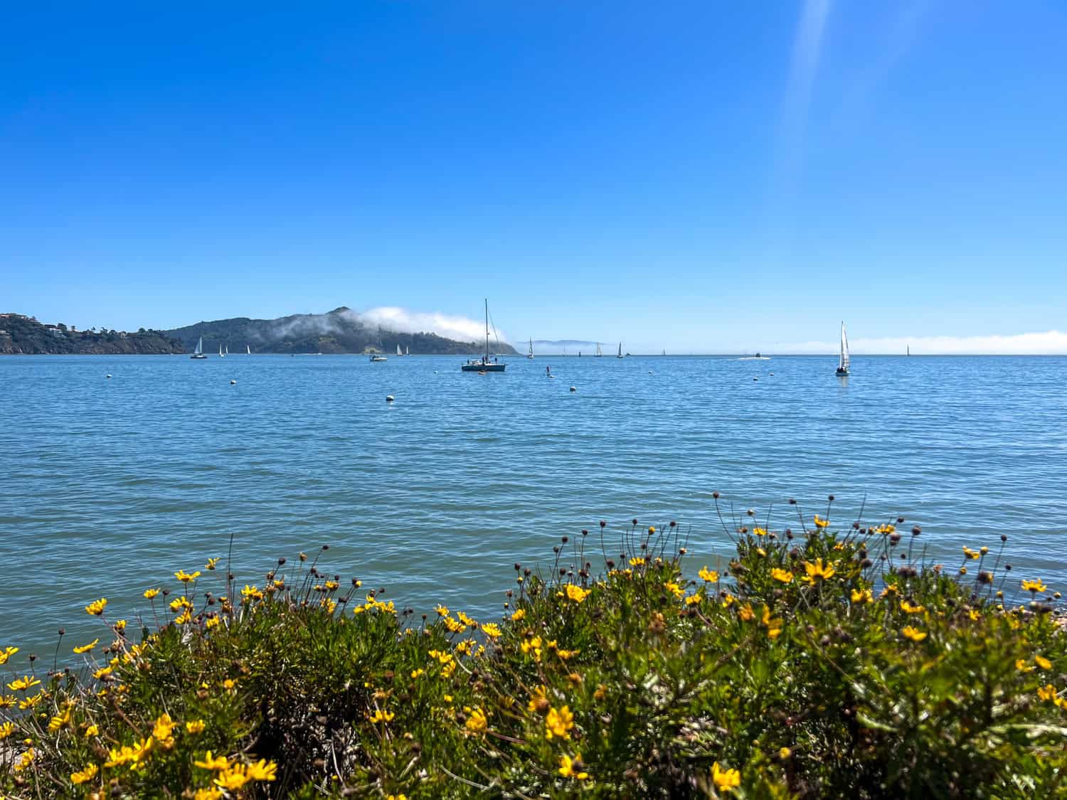 Sausalito Bay