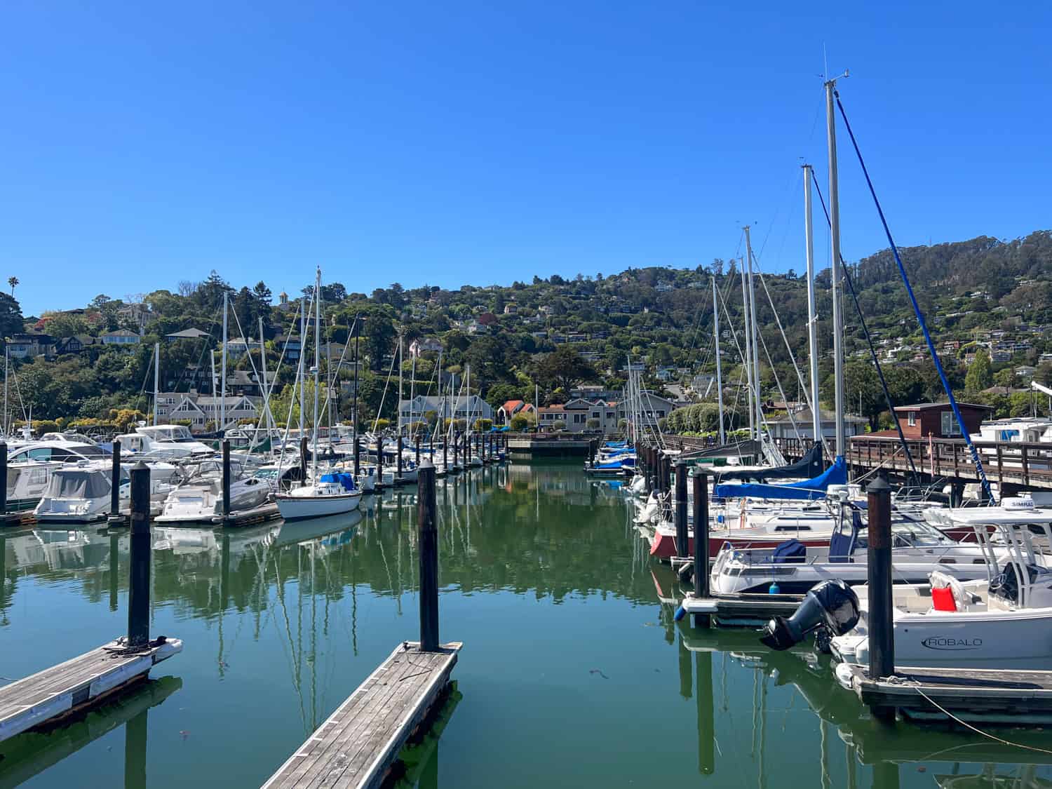 Lunch in Sausalito followed a hike in Muir Woods, and preceded a tour of Alcatraz Island.