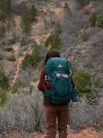 Hiker in Zion National Park (photo by Alex Moliski).