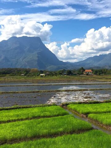 Chiang Dao landscape (photo: creartiva).