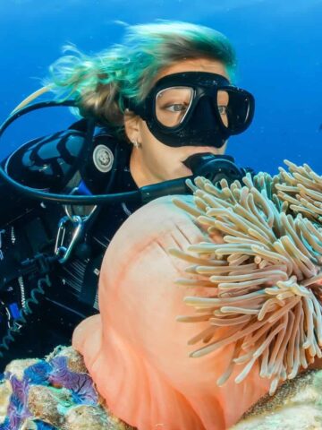 Diving in the Maldives (photo: Sebastian Pena Lambarri).