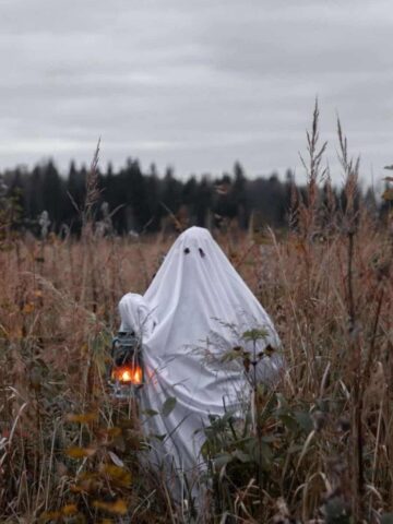 Ghost in a field (photo: Monstera Production).