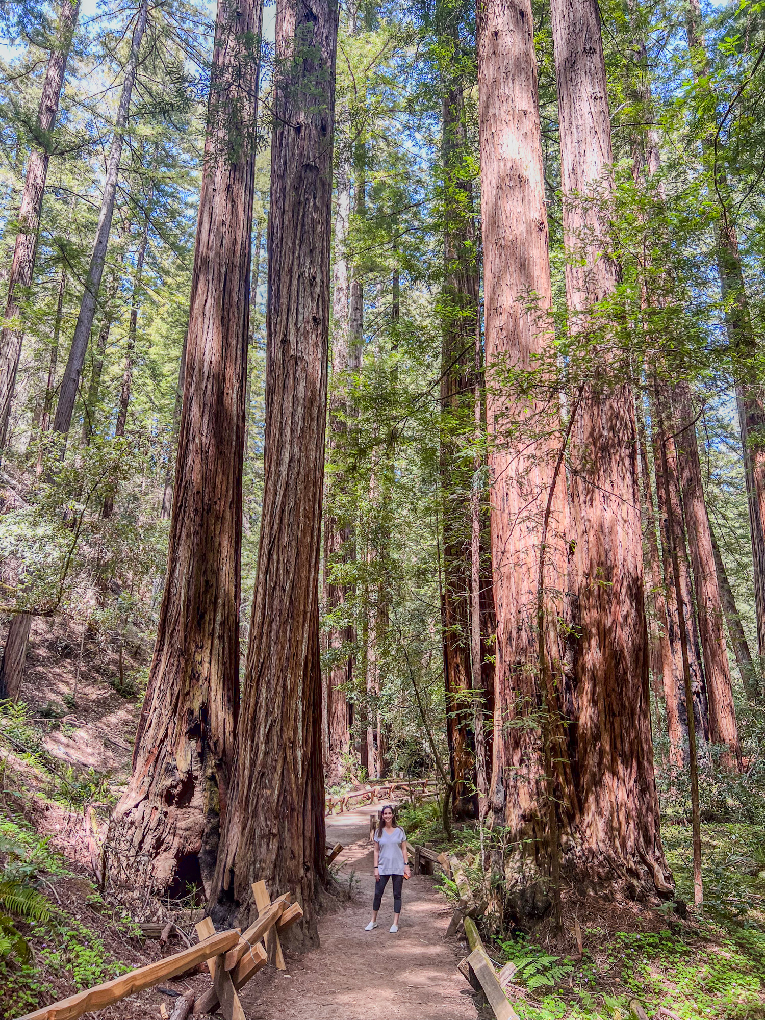 Kel among the tall trees