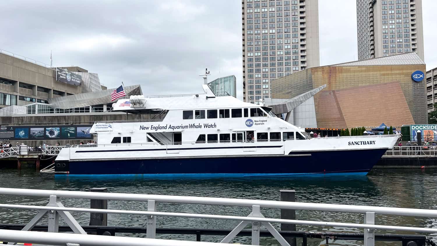 The Sanctuary, a New England Aquarium whale watching ship