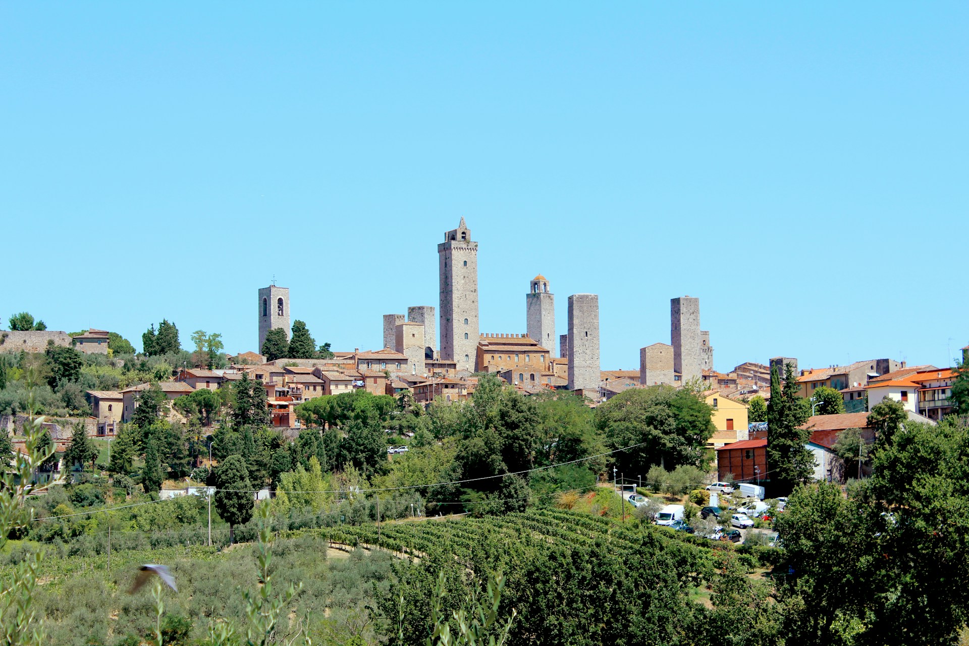 Towers of San Gimignano (photo: Mattia Bericchia).