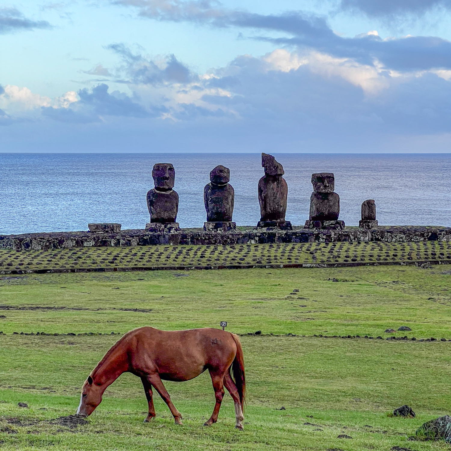 A horse grazing in front of Ahu Vai Uri at sunrise.