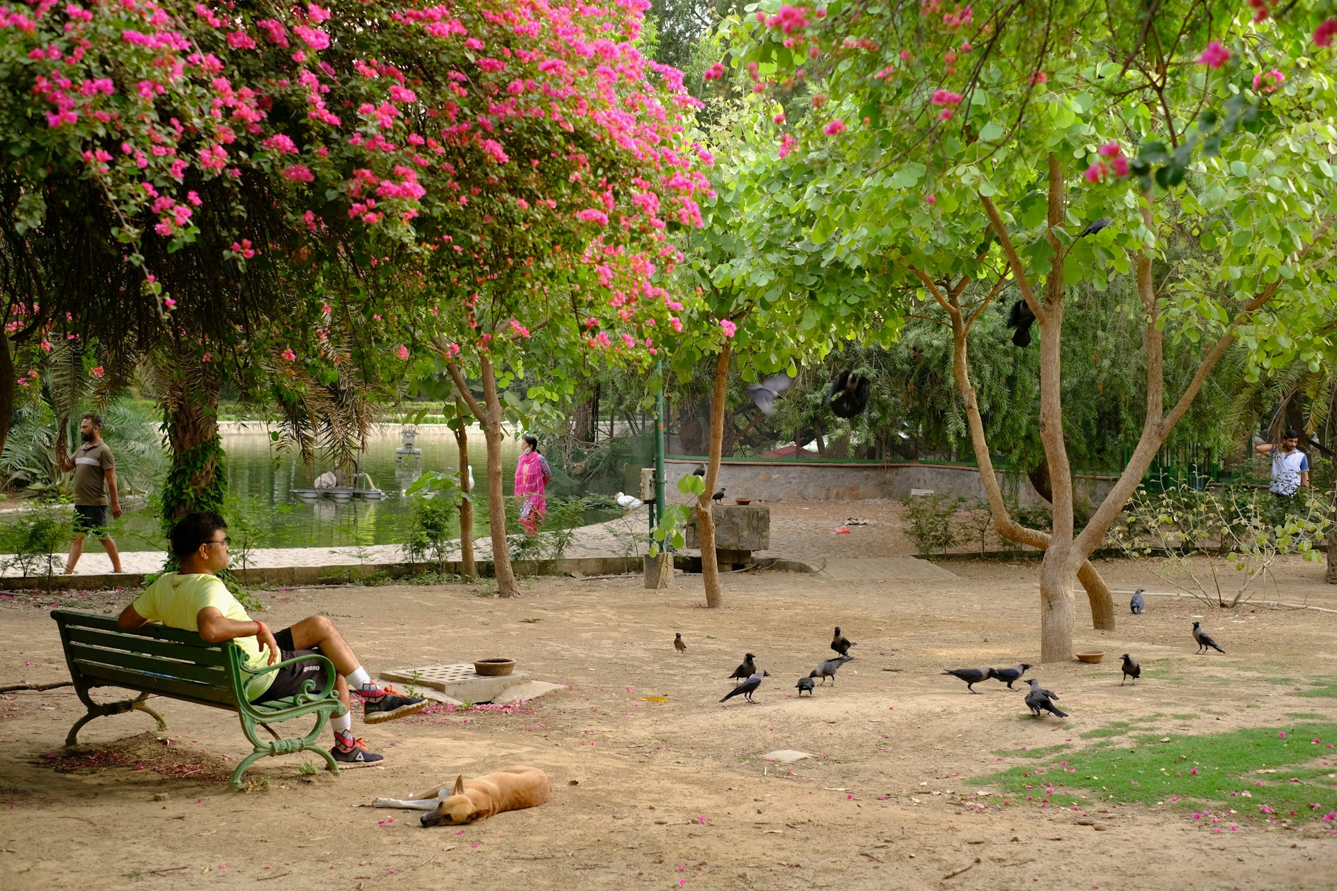 Lodhi Garden in New Delhi, India (photo: Ravi Sharma)