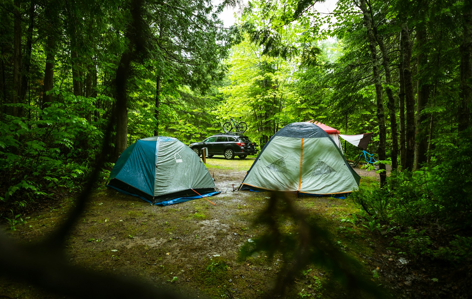 Wet camping tents at Sugarloaf Provincial Park in Canada (photo: Tim Foster).