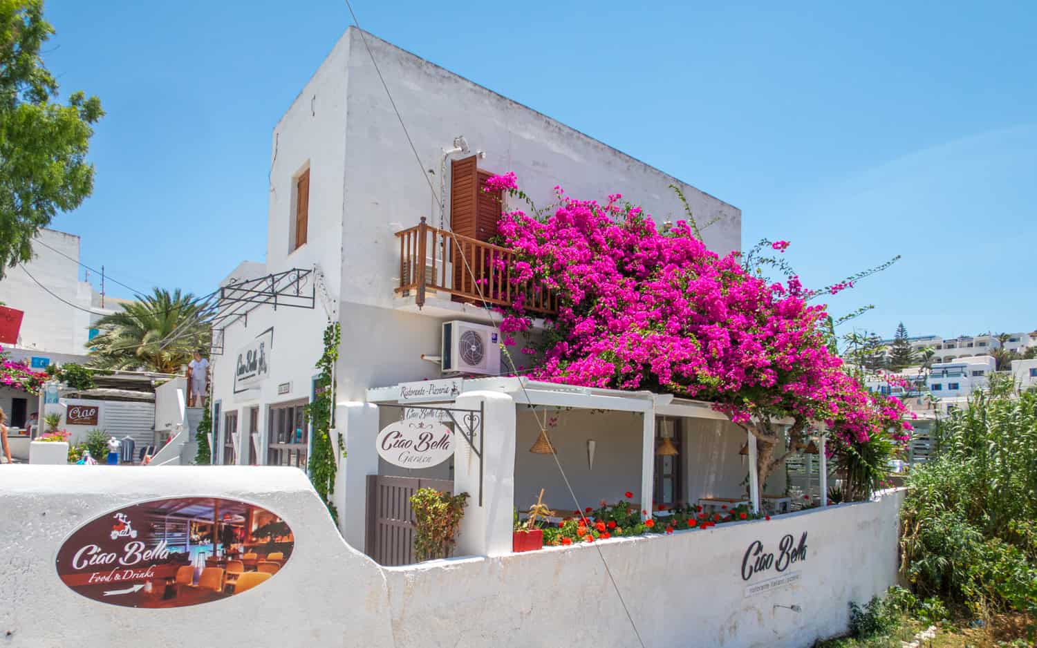 Bougainvillea at Ciao Bella restaurant.