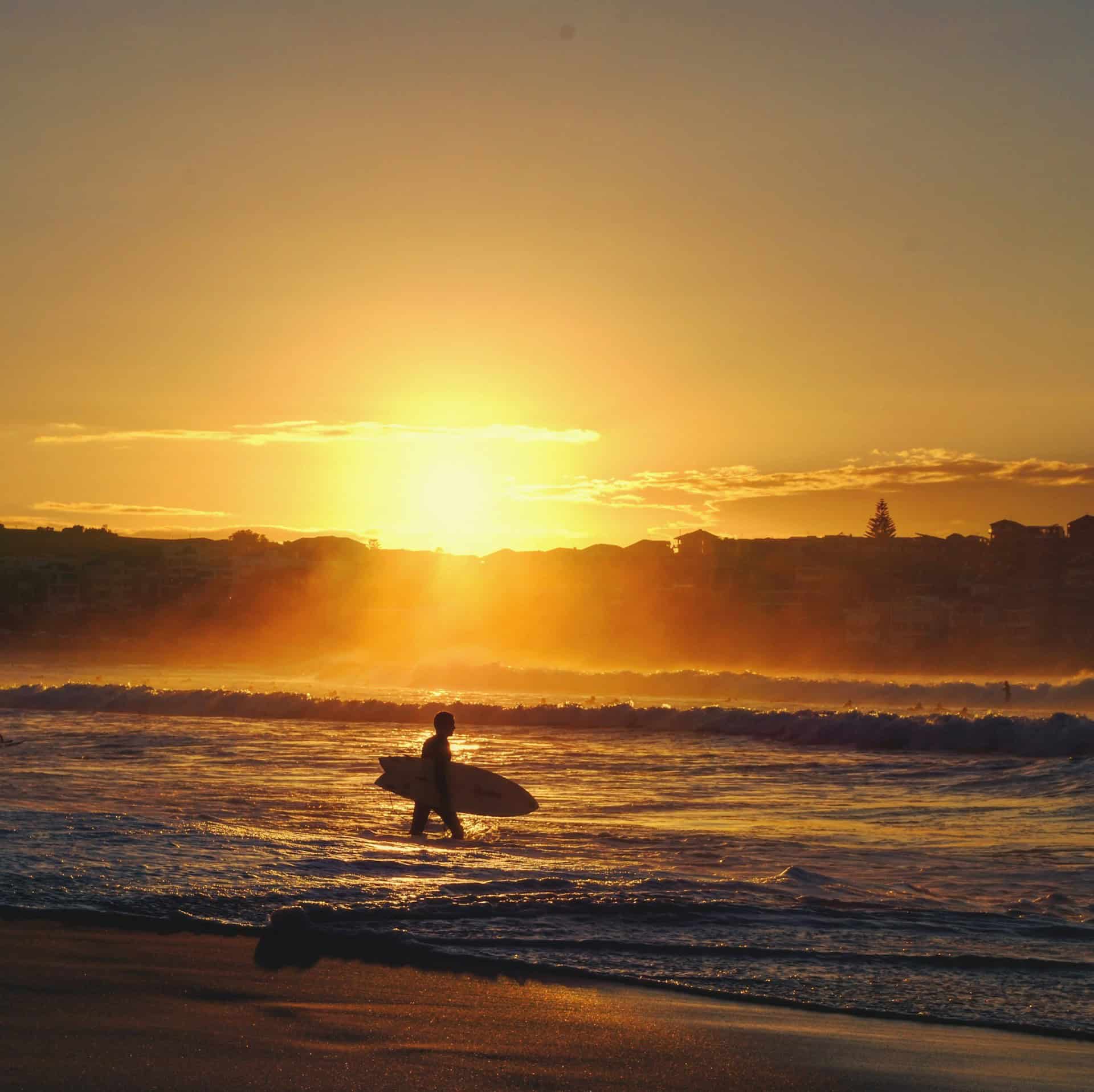 Surfer at sunrise on Bondi Beach in Australia (photo by Damon Treweeke).