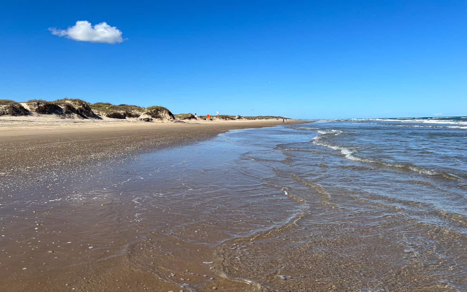 Looking north on Boca Chica Beach, Texas.