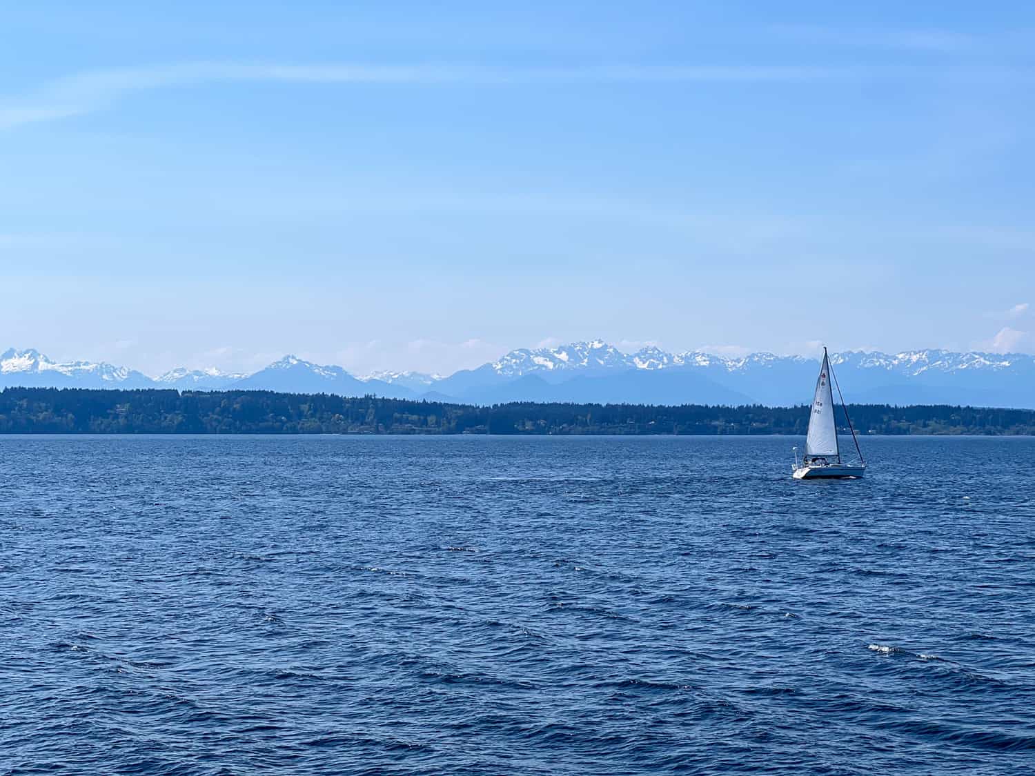 The Olympic Mountains.