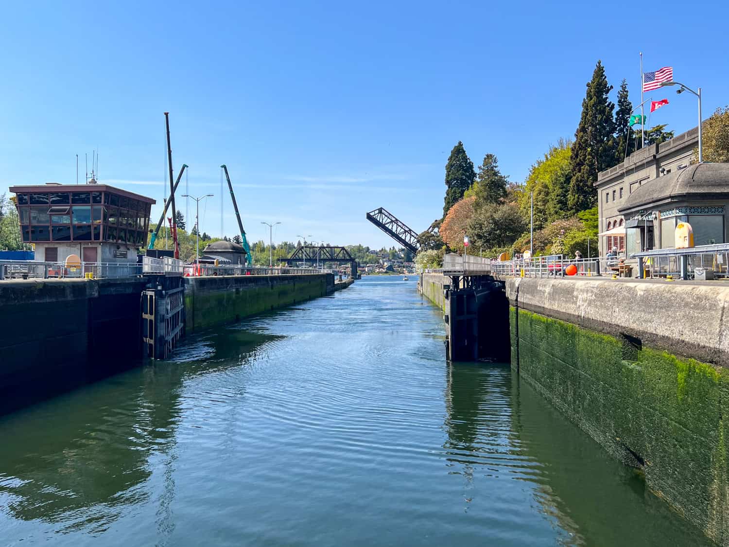 After our cruise ship was lowered in the lock, the gate was opened for us to depart.
