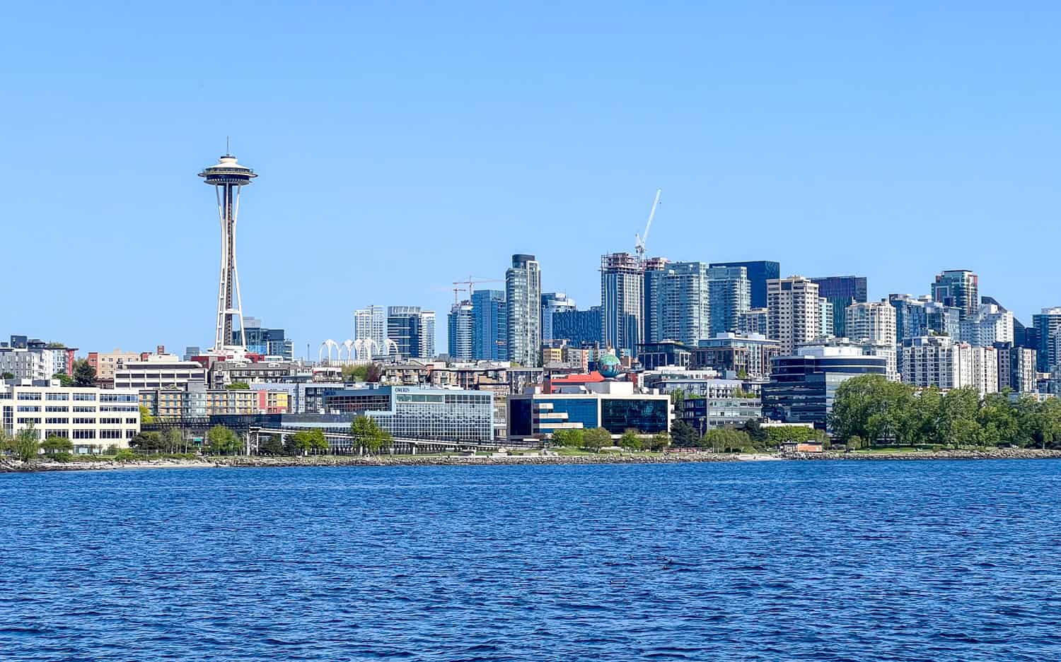 The Space Needle as seen from a Seattle locks cruise.
