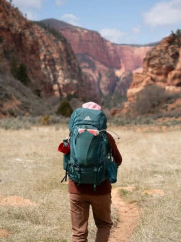 Backpacking Zion National Park (photo by Alex Moliski).