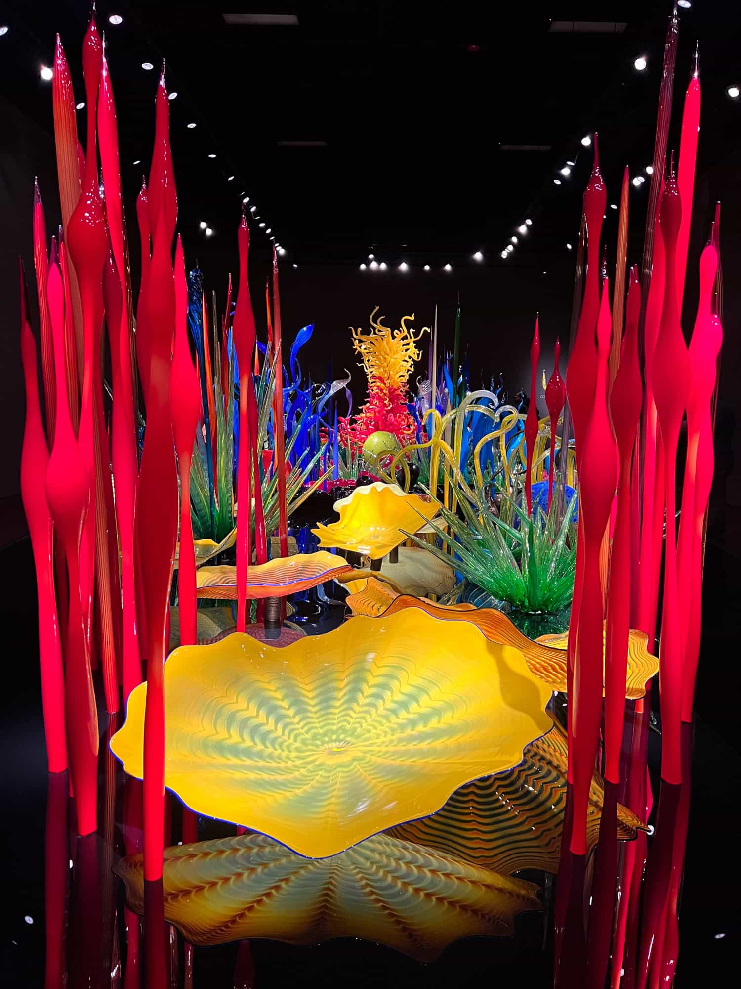 Mille Fiori by Chihuly.