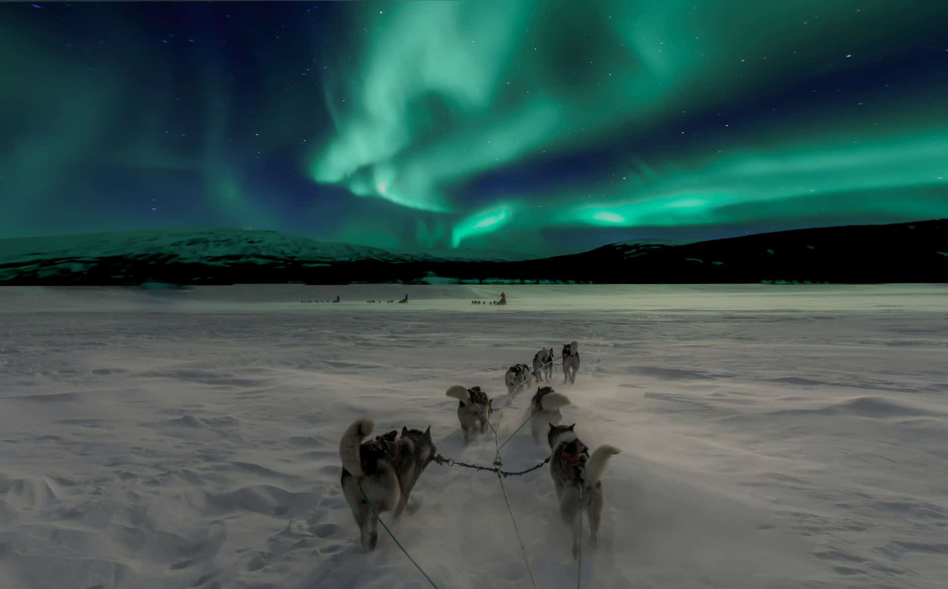 A dog sledding tour under the Northern Lights in Norway is a true adventure (photo: Thomas Lipke).