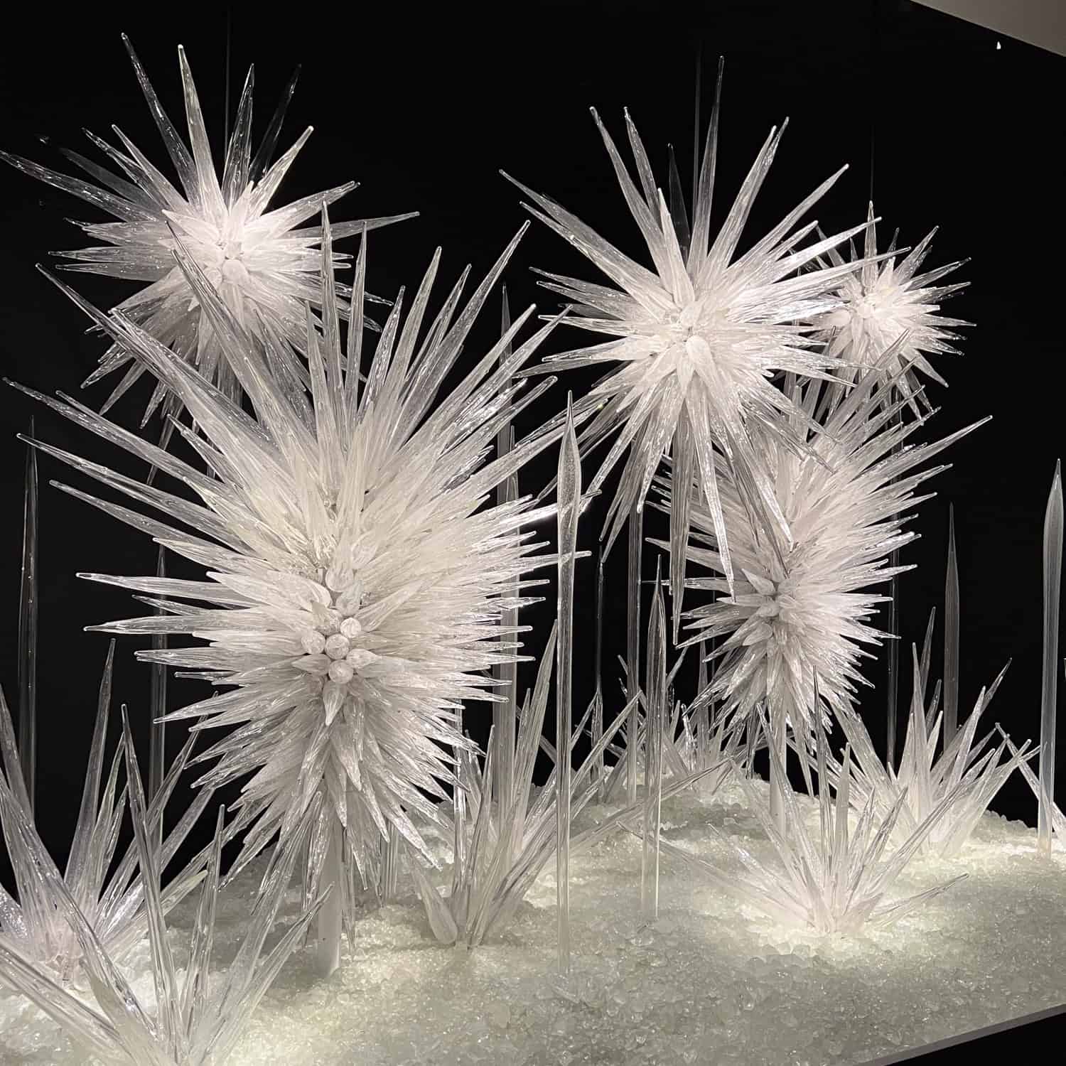 Winter Brilliance by Chihuly.