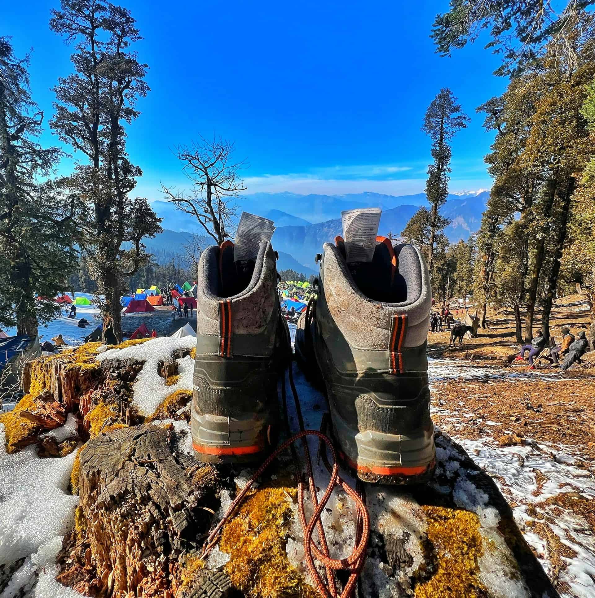 Hiking boots on a tree stump (photo: Nitin Shivaprasad, Unsplash).