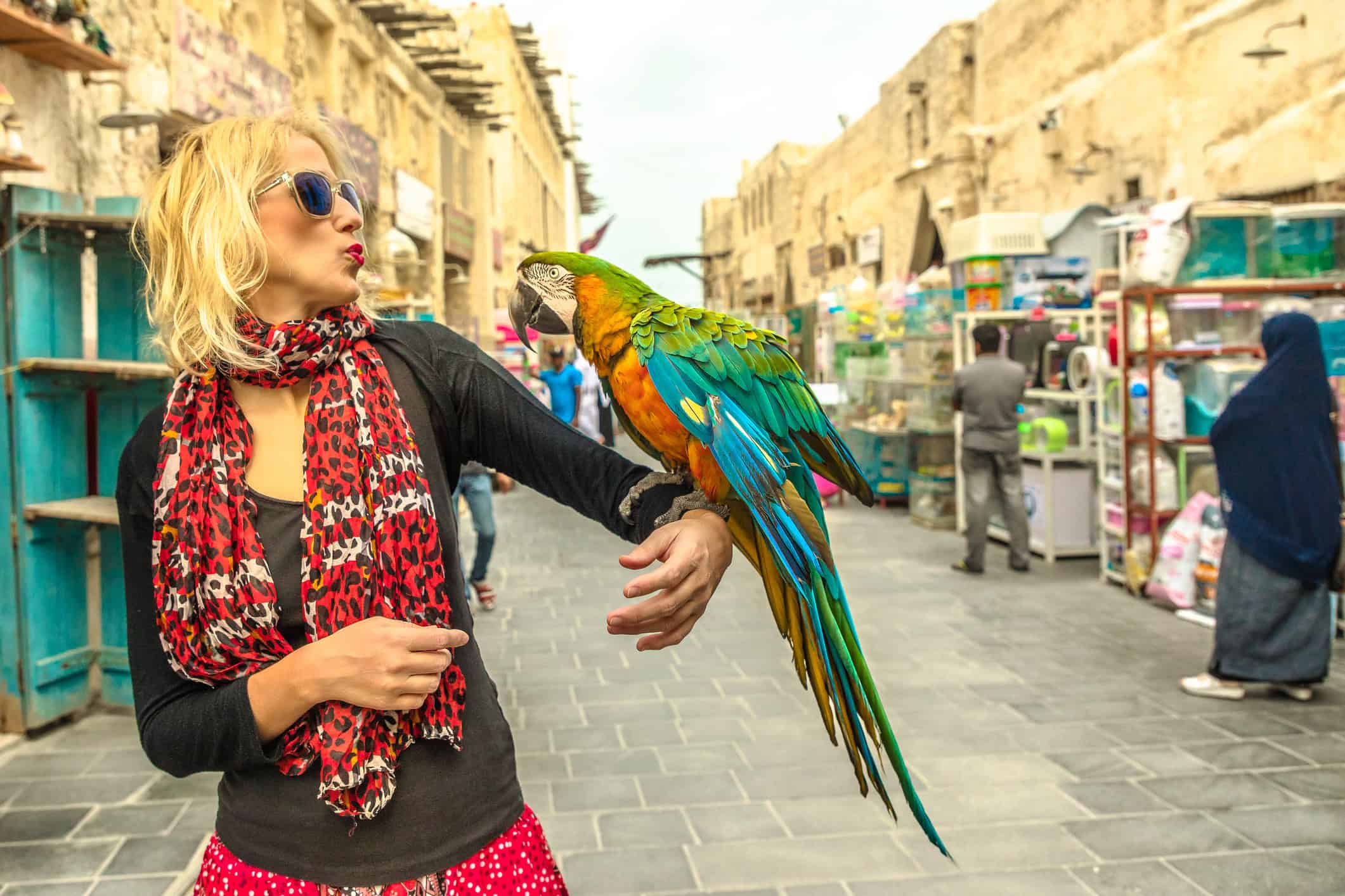 A tourist holding a colorful bird inside Souq Waqif in Doha, Qatar (photo: iStock).