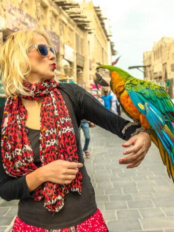 A tourist holding a colorful bird in Souq Waqif, Doha (photo: iStock).