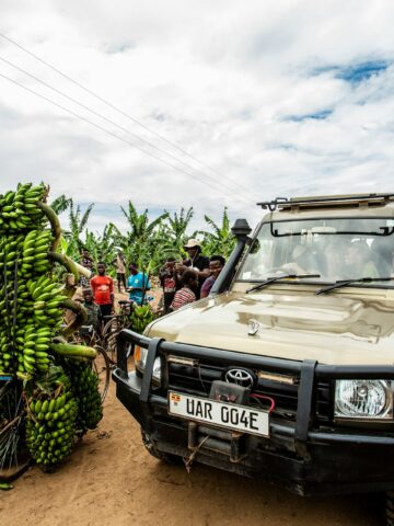 A Toyota SUV drives past matoke (bananas) on a bicycle in Kasese, Uganda (photo: Mwanje Henry, Unsplash).