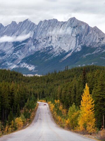 Fall colors in Jasper National Park (photo: Michael Brandt, Unsplash).