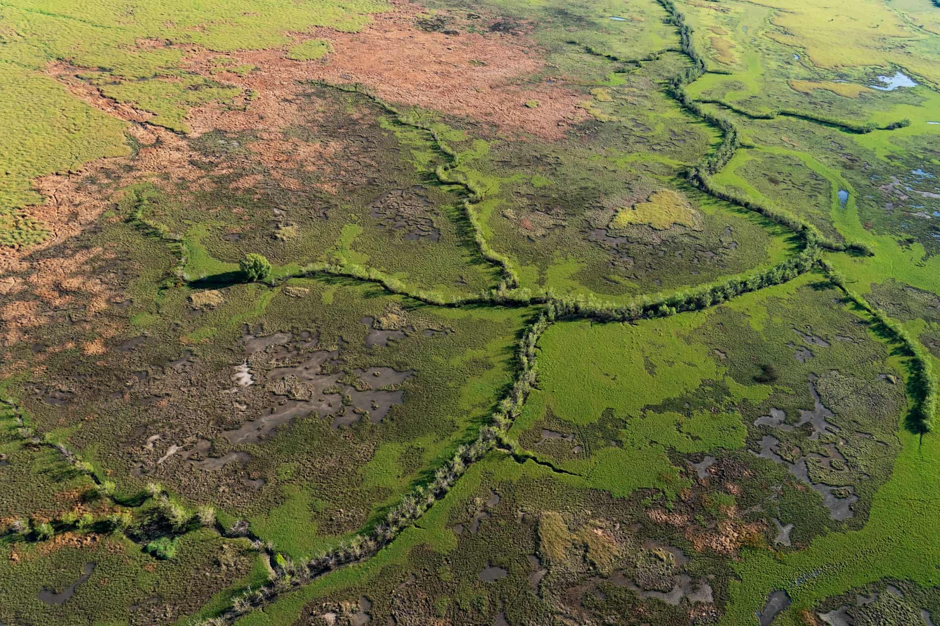 Bird's-eye view of Kakadu National Park as it transitions from wet to dry season (photo: Rod Long, Unsplash). Bird's-eye view of Kakadu National Park as it transitions from wet to dry season (photo: Rod Long, Unsplash).