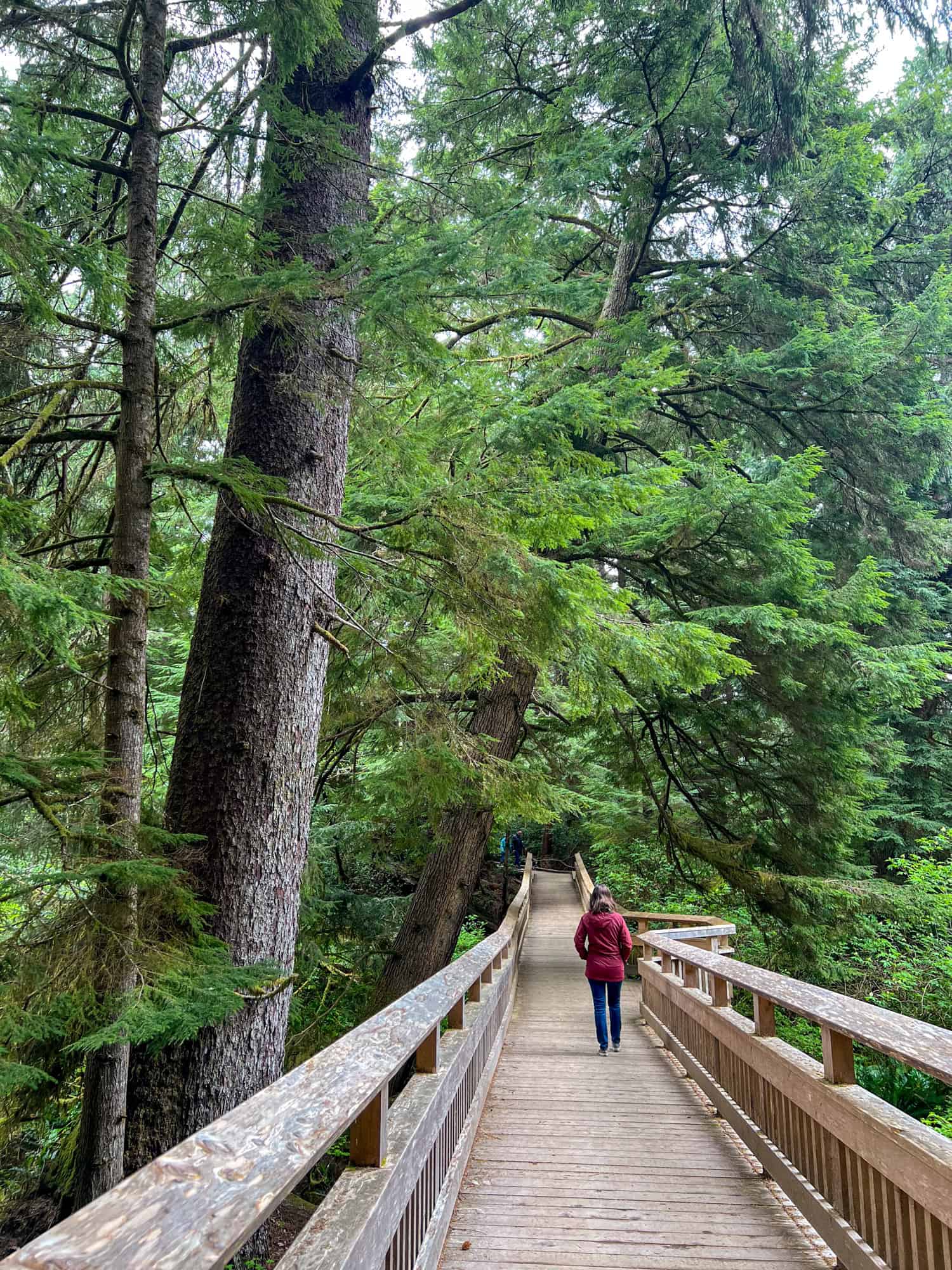 Kel walking through the coastal forest on the Rockaway Big Tree Trail. Kel walking through the coastal forest on the Rockaway Big Tree Trail.