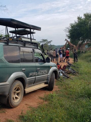 Tourists look at giraffes during a self-drive safari in Uganda.